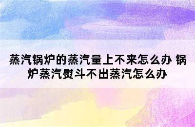 蒸汽锅炉的蒸汽量上不来怎么办 锅炉蒸汽熨斗不出蒸汽怎么办